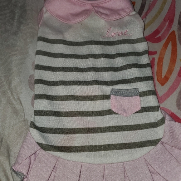 Ellen Degeneres Puppy 🐶 Dress with Ruffle pleated hem pink colar.. X small - Picture 4 of 14